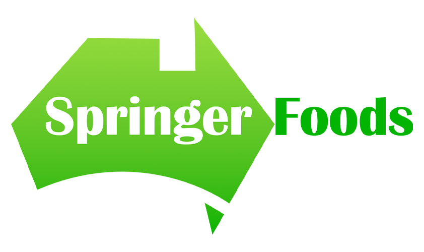 springer_logo_500pxh logo